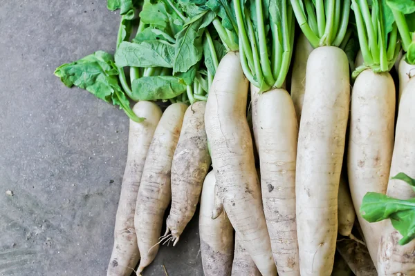 Daikon turp pazarında Satılık.