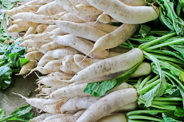 Daikon radijs te koop in de markt. — Stockfoto