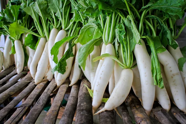 Daikon radijs te koop in de markt. — Stockfoto