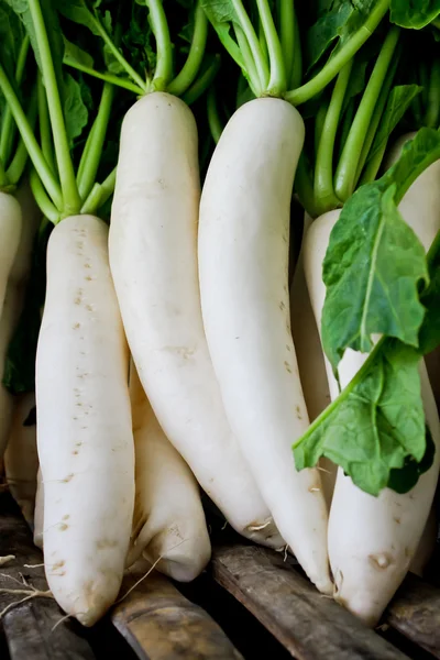 Radis Daikon à vendre sur le marché . — Photo