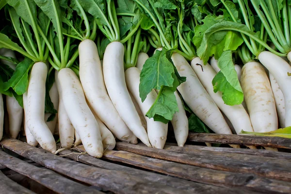 Daikon turp pazarında Satılık.