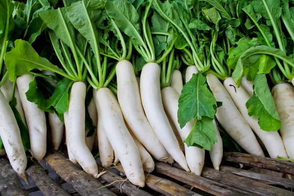 Daikon turp pazarında Satılık.