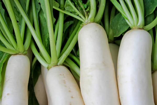 Daikon turp pazarında Satılık.