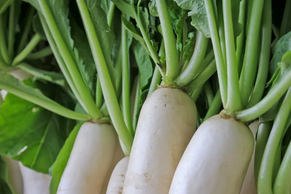 Daikon turp pazarında Satılık.