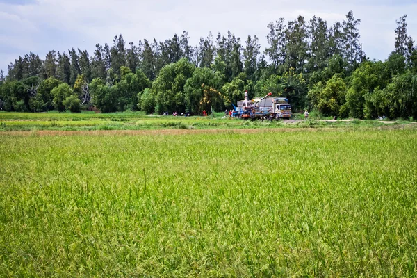 Raccolta degli agricoltori . — Foto Stock