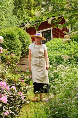 senior woman strolling in garden. clipart