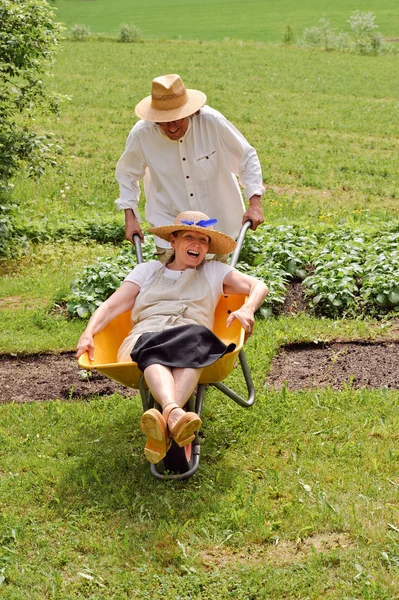 Senioren haben Spaß mit Schubkarre — Stockfoto