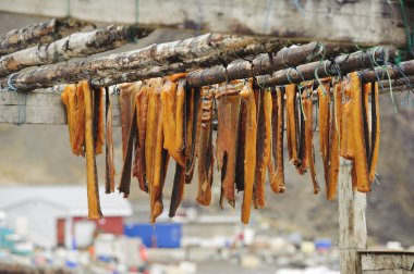 Açık havada kurutma balık