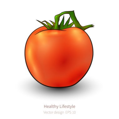 Domates gerçekçi bakışla