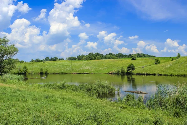 Árvores coloridas sobre lago com reflexão Imagens De Bancos De Imagens