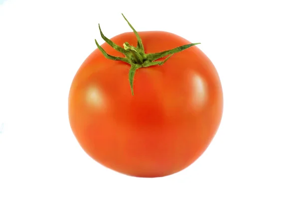 Bir taze kırmızı domates.