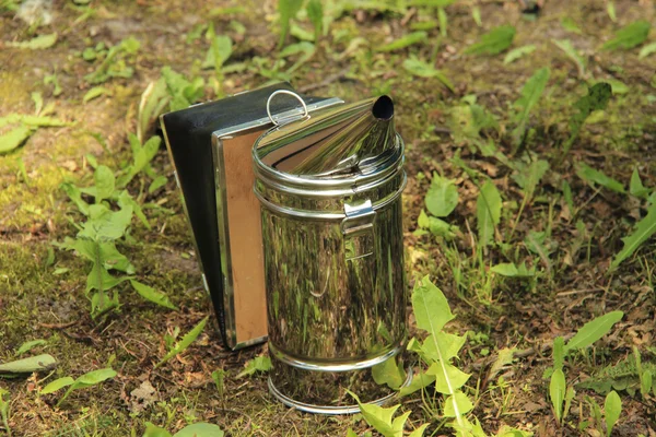 Arı sigara içen closeup