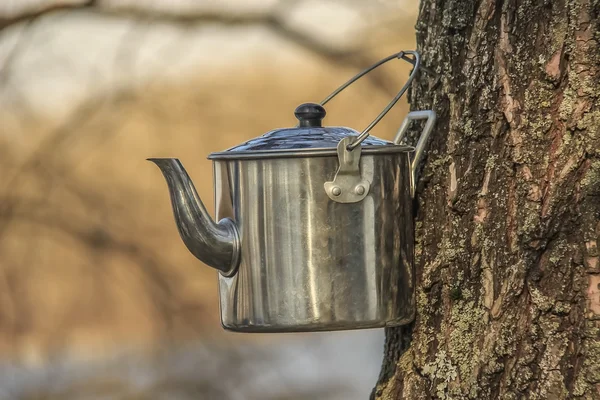 Hervidor para acampar té — Foto de Stock