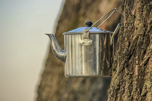 Çay kamp için su ısıtıcısı