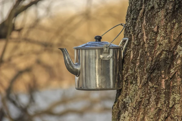 Çay kamp için su ısıtıcısı