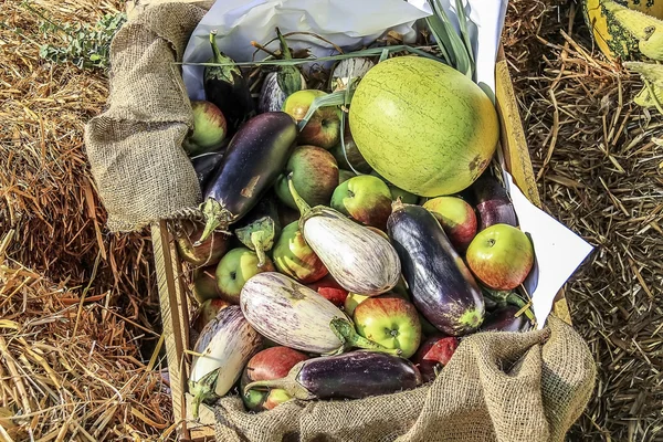 Sepetteki sebzeler ve meyveler