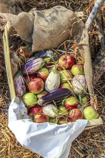 Sepetteki sebzeler ve meyveler