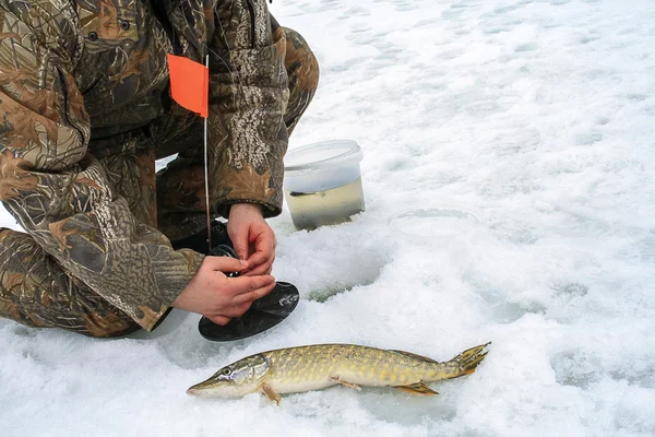 Pesca invernale sul ghiaccio Fotografia Stock