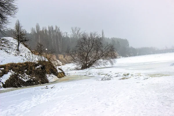 Kışın uzanarak ağaç