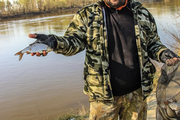 Свежепойманная маленькая рыбка в руке рыбака — стоковое фото