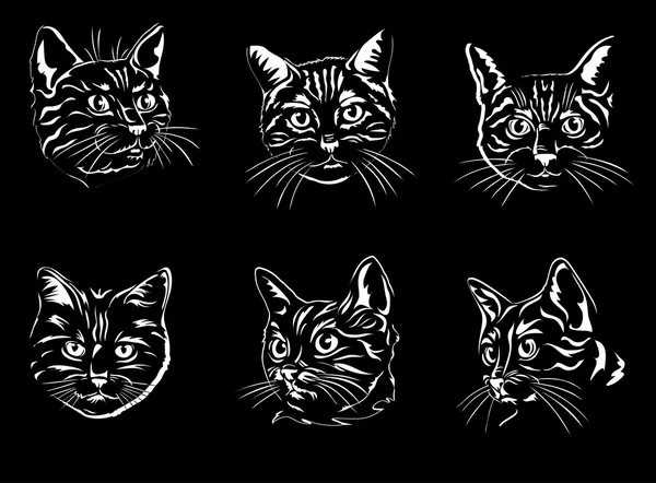 Gatto, ritratto, immagine grafica, nero — Vettoriale Stock