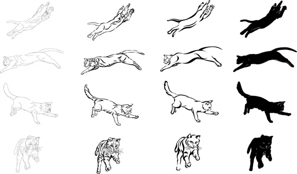 Salto de gato, diferentes opciones gráficas imagen — Vector de stock