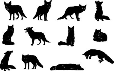 Fox, Zıplama, vektör, siluet, ayarla