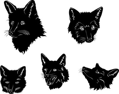 Fox, portre, fox'ın burnu, vektör, siluet, ayarla