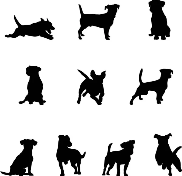 Jack Russell Terrier Pies Realistyczny Czarno Biały Obraz Dekoracji Pakowania — Wektor stockowy