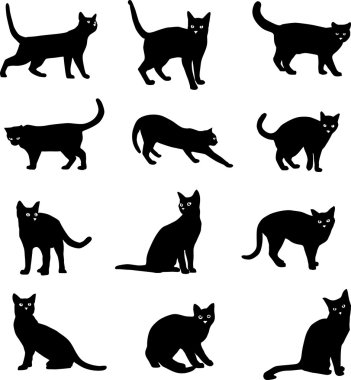 Kediler, kediler görüntülerini farklı grafik seçenekleri