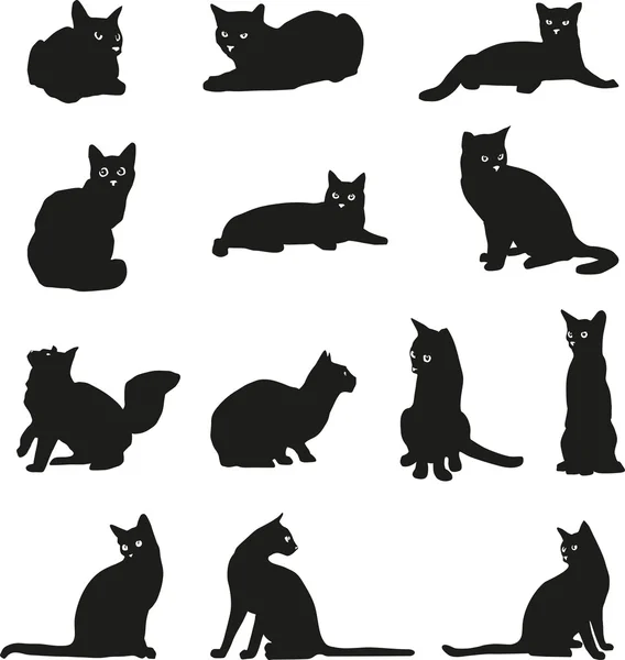 猫のグラフィック オプションの猫の画像 — ストックベクタ