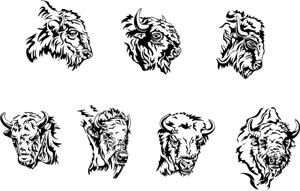 Buffalo, diverses postures de l'animal — Image vectorielle
