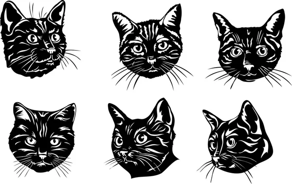 Лицо черной кошки, вектор изображения кошачьего лица, кошки, портрета, черного силуэта кошки, векторная иллюстрация — стоковый вектор