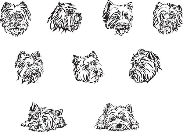 Σκύλος, τεριέ, πορτραίτο, τεριέ, λευκό, μαύρο, πορτραίτο, διάνυσμα, γραφικά, σχέδιο, εικόνα, στυλιζαρισμένη, εικόνα, απομονωμένα, εικονογράφηση — Διανυσματικό Αρχείο