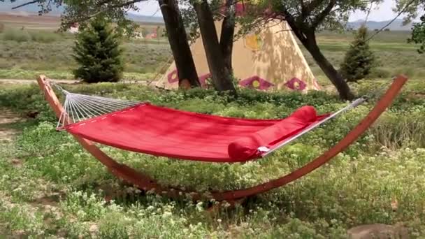 HAMMOCK NEL FORREST — Video Stock