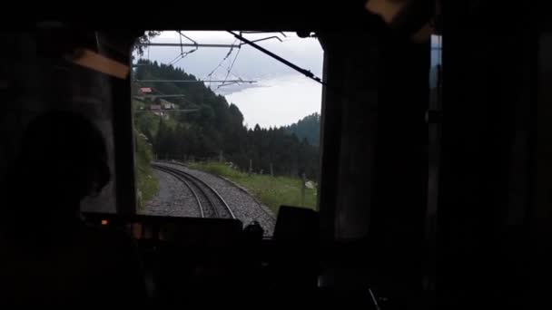 Treno di montagna dentro — Video Stock