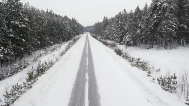 Road in Winter Forrest — Stockvideo