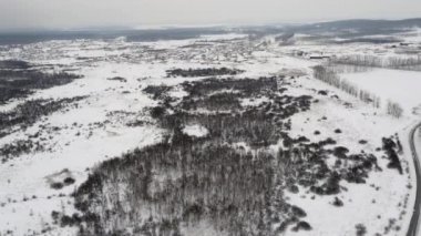 Kış Forrest hava Panoraması