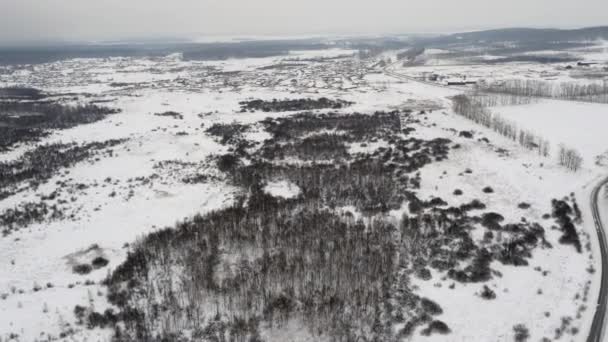 Air Panorama vinter Forrest — Stockvideo