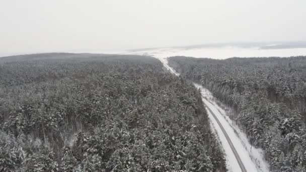 Vol au-dessus de la route en hiver Forrest — Video