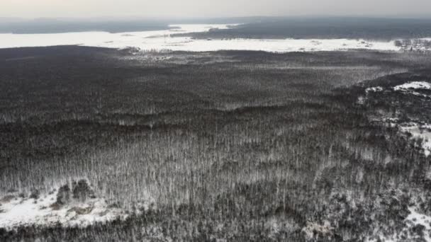 Lot nad zimą Forrest — Wideo stockowe