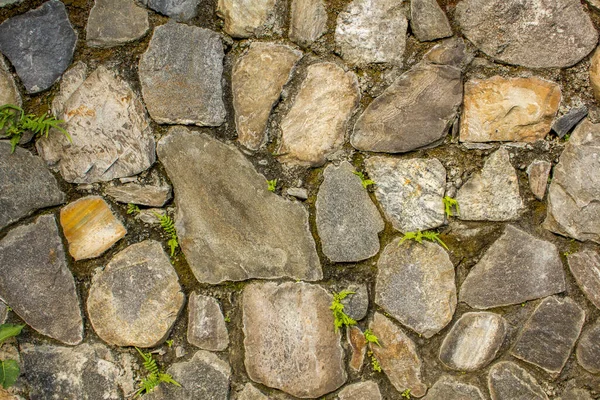 小さな緑の植生を持つ様々な大きな天然石の壁 苔で壁を 壁の表面のざらざら感 グレーと青と白の石 — ストック写真