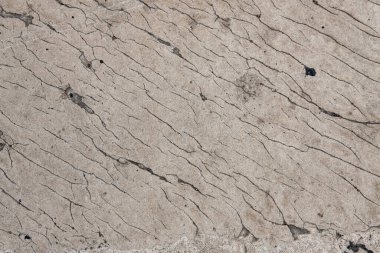 Çatlak gri beton duvar. kabaca yüzey dokusu