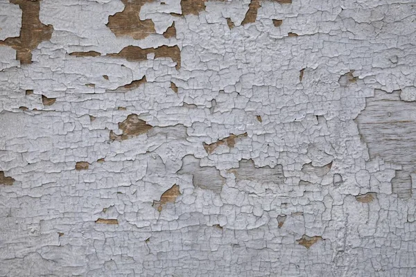 Old Gray Shabby Wooden Wall Peeling White Paint Cracks Rough — Stock Photo, Image