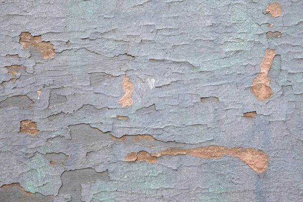 Old Gray Shabby Wall Peeling Paint Cracks Rough Surface Texture — Stock Photo, Image