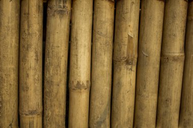 Eski soluk sarı kuru bambu duvarı. Doğal yüzey dokusu