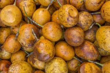 Kahverengi, sarı çarkıfelek meyvesi yığının içinde yatıyor. Doğal yüzey dokusu