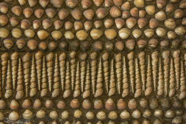 Farklı şekillerde ve boyutlarda koyu çimentoda bir sürü beyaz kırmızı kabuk. kaba doğal doku yüzeyi