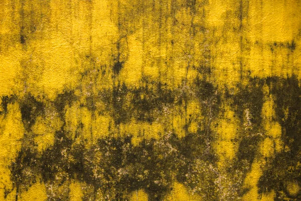 塗料や金型の亀裂や黒い斑点を持つ古い汚れた黄色のコンクリート壁 ざらざらとした表面 — ストック写真