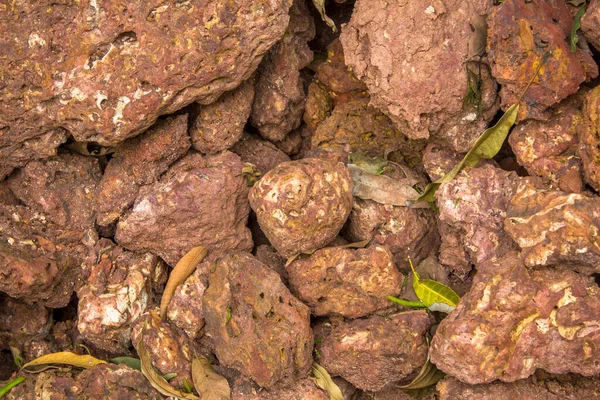 Pierres Poreuses Volcaniques Rouges Trouvent Dans Tas Feuilles Vertes Sèches — Photo